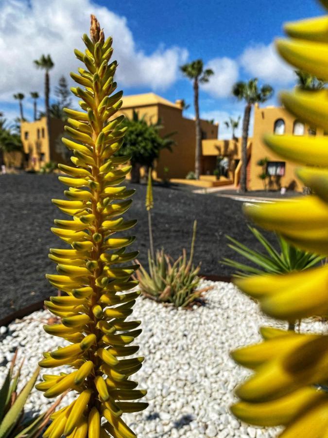 Vivienda Vacacional Casa Simbamar Apartamento Corralejo
